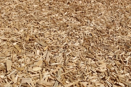 Sawmill Byproducts | From Industrial Waste to Everyday Materials