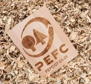 PEFC森林驗證認可計畫：守護森林的永續力量