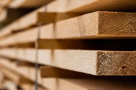 Wood Protection and Maintenance