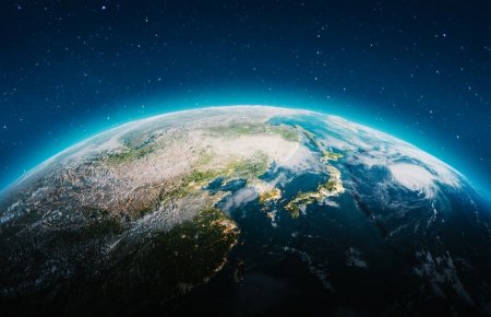 世界地球日|看見林與木的價值