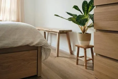 Home Safety and Health