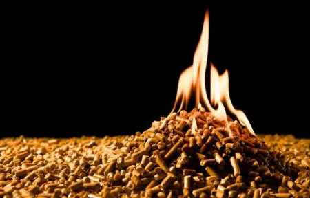 Wood Biomass Energy | Turning Waste into Renewable Value