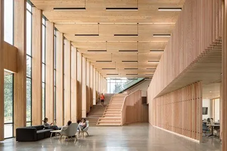 CLT (Cross Laminated Timber)