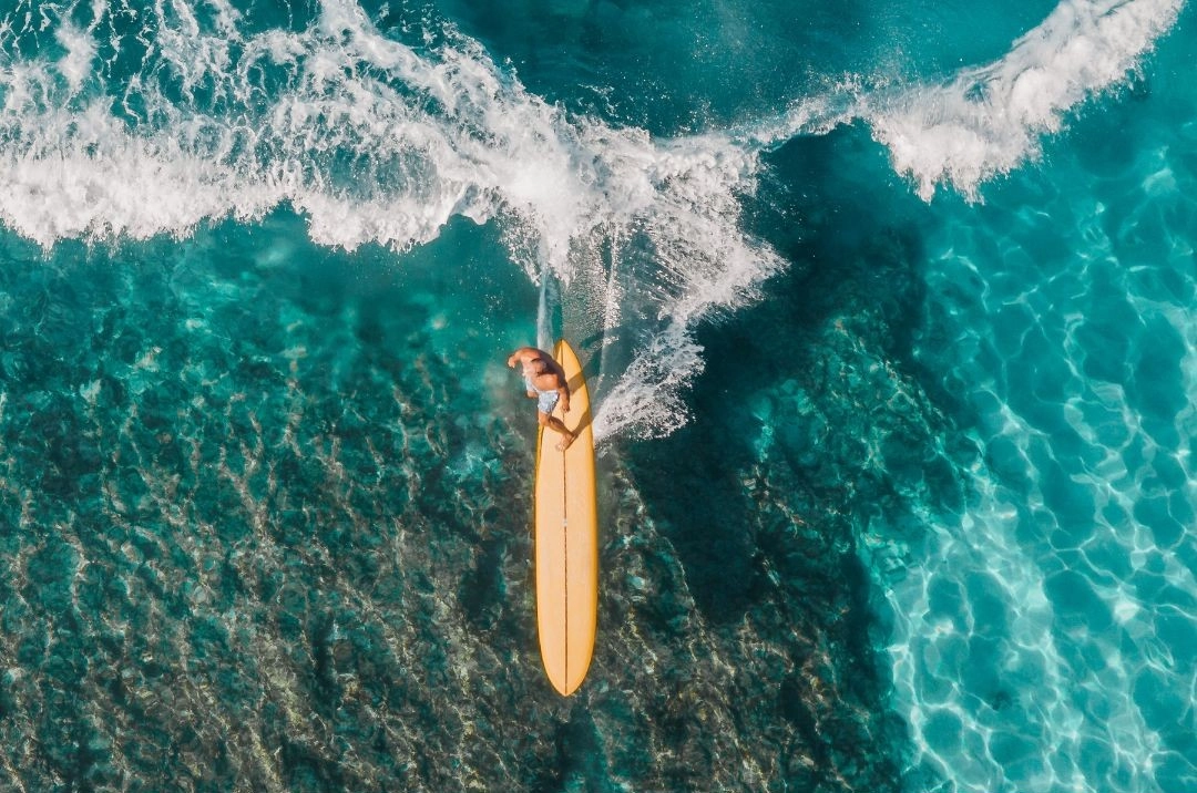 From Surfboards Back to Wood | Riding the Wave Toward a More Sustainable Ocean