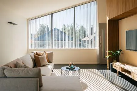 New Zealand Radiata Pine: A Fast-Growing and Sustainable Timber Choice