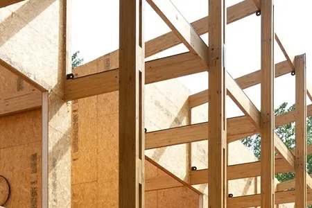Wood, Beyond Our Imagination in Structural Strength and Longevity
