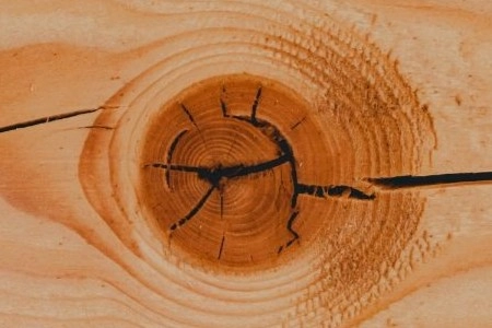 Wood Knots: Defects or Natural Features?