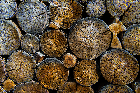 Sustainable Plantation Forests