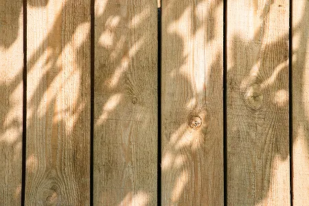 The Difference Between Hardwood and Softwood