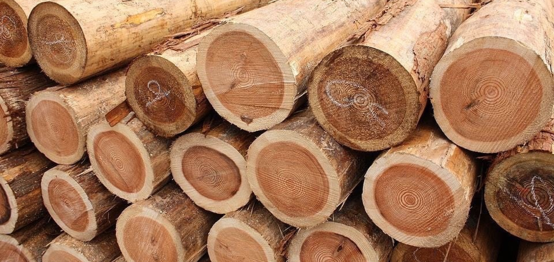 wood
