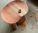 Japanese Cedar