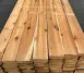 Western Red Cedar