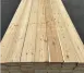Siberian Larch