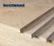 結構用樺木合板