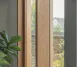 Douglas Fir