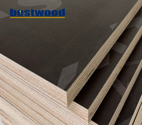 Birch Plywood