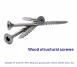 Wood structural screws