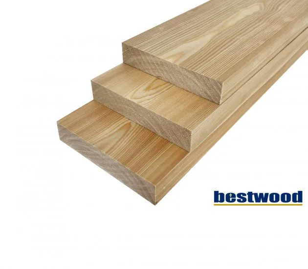 Siberian Larch