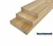 Siberian Larch