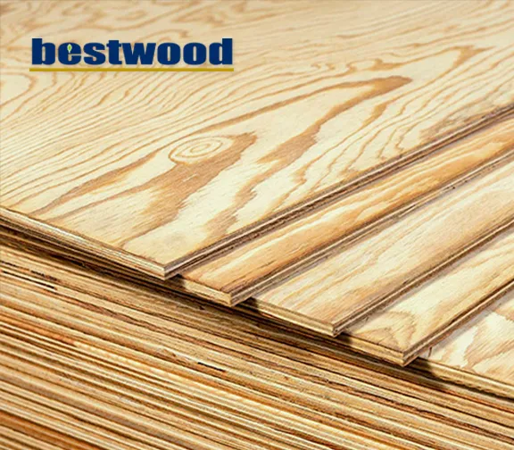 Larch Plywood