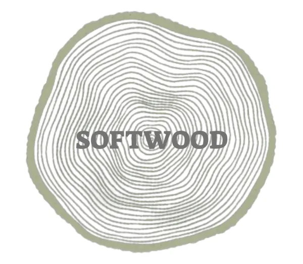 Softwood