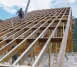 Southern Yellow Pine
