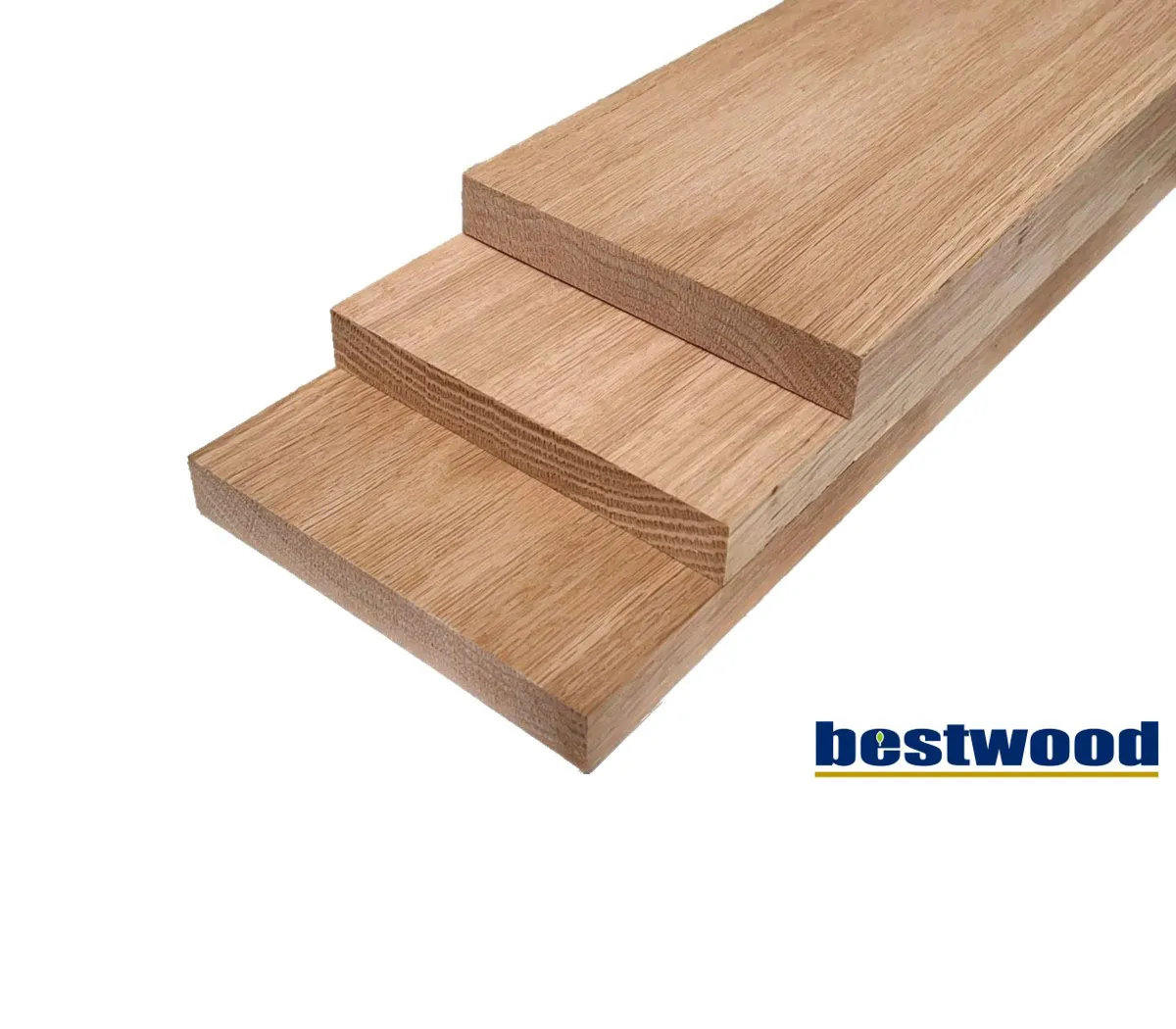 American Red Oak