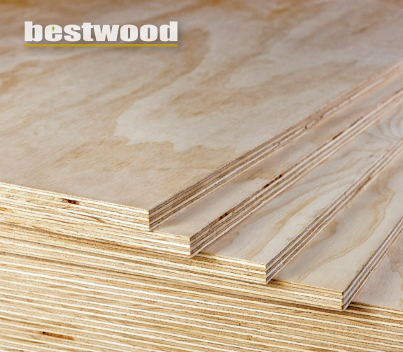 AraucoPly Plywood