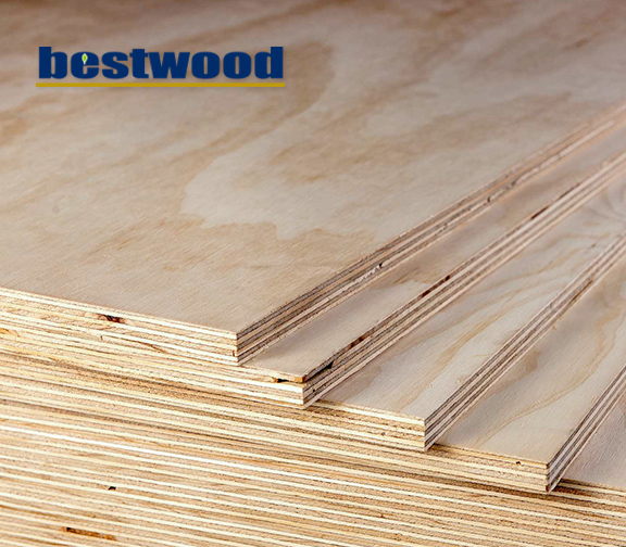AraucoPly Plywood