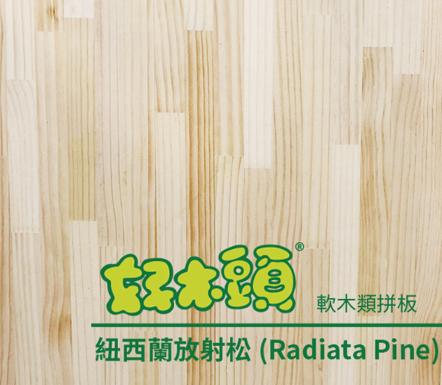 Radiata Pine Glued Panel